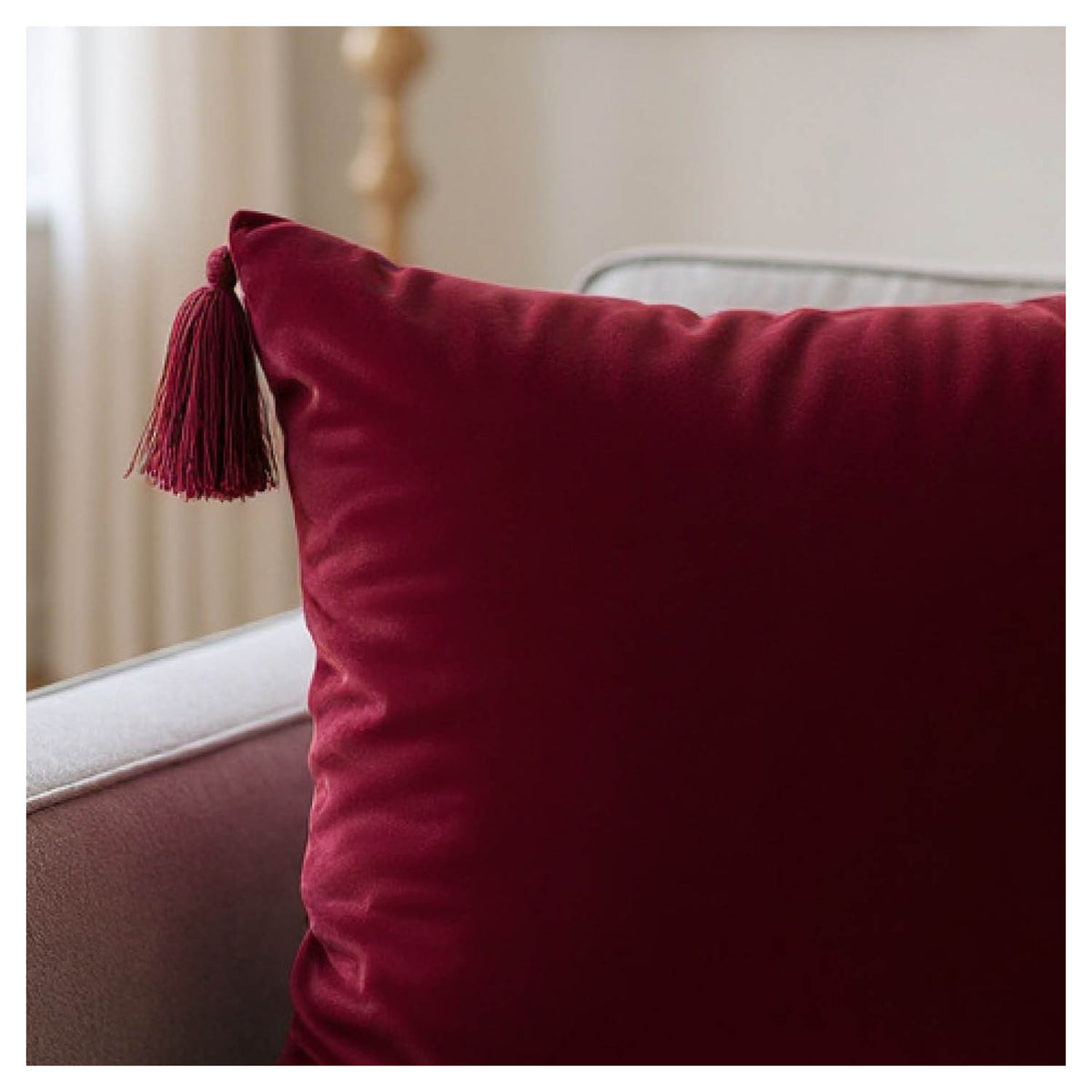 Ruby Velvet Cushion - Set of 2